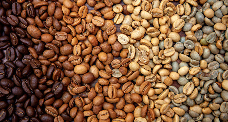 Exploring the World of Coffee Roasts