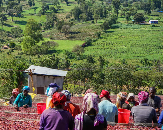 Expanding on Ethiopia