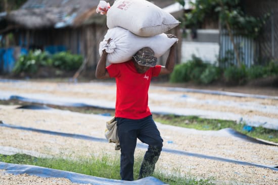 Papua New Guinea - Kindeng 12oz