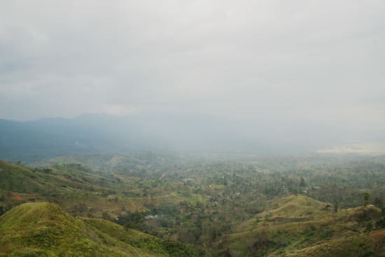 Papua New Guinea - Kindeng 12oz