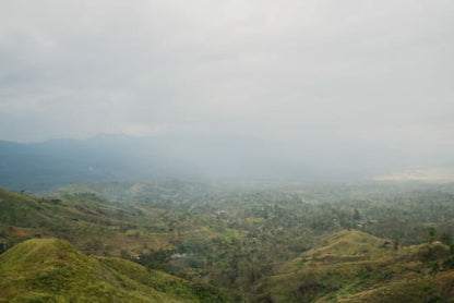 Papua New Guinea - Kindeng 12oz